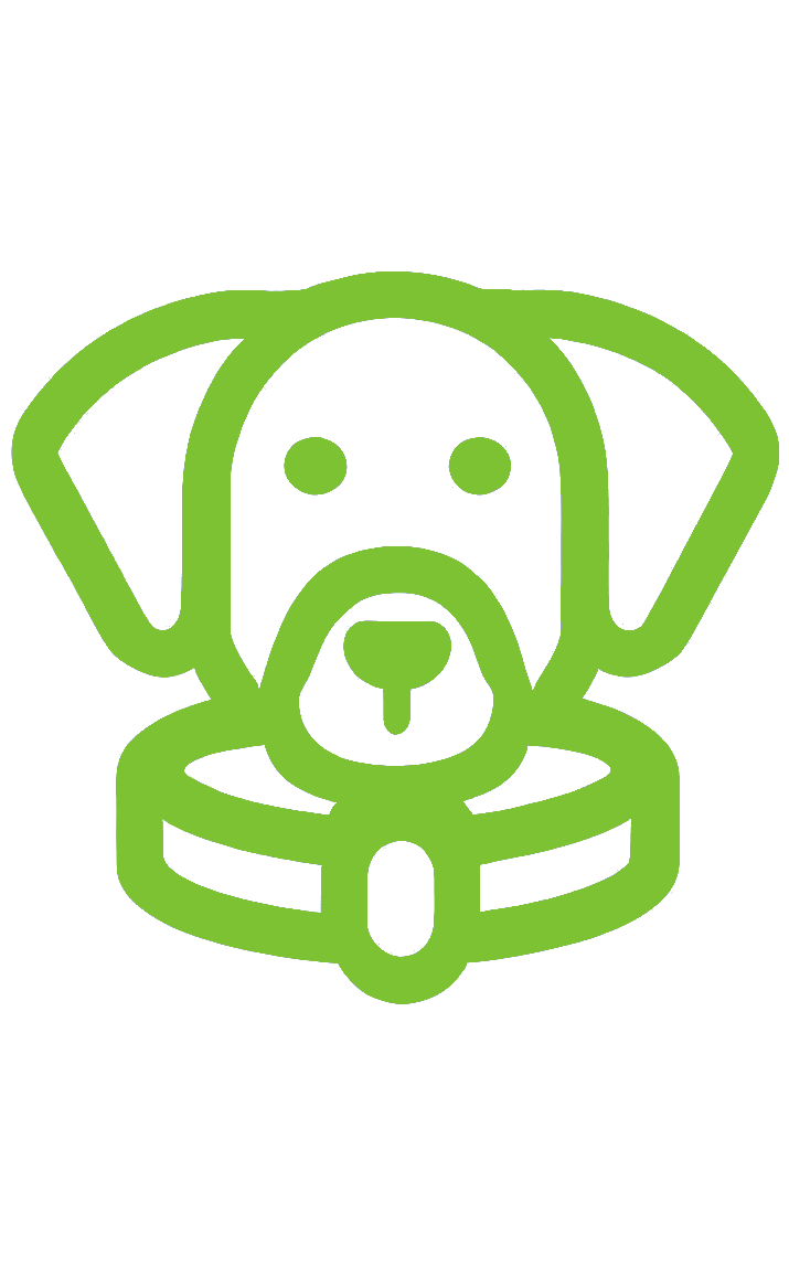 Découvrez une large sélection d'accessoires pour chien pour le rendre heureux et en bonne santé. Gamelles, laisses, jouets, paniers, cages, et bien plus encore. Profitez des meilleurs produits pour votre fidèle compagnon.