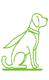 Découvrez notre collection de costumes et déguisements pour chien, parfaits pour Halloween, Noël, ou simplement pour s'amuser. Des options amusantes et confortables pour tous les chiens.