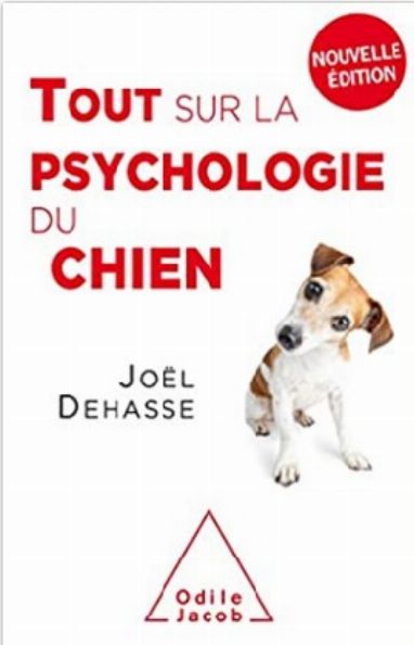 Tout Sur La Psychologie Du Chien