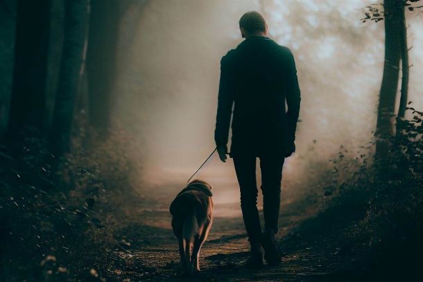 les bienfait de la promenade en forêt avec son son