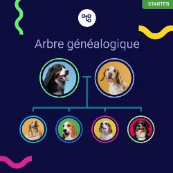 koko genetics  pas cher