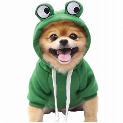 costumes halloween grenouille pour chien