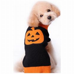 pull halloween pour chien